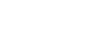 PD Lite logo