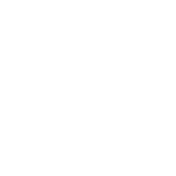 Customizable Gamification Strategies