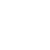 300+ Trusted Clients